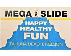 Mega Slide logo